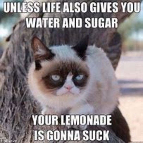 Not to mention a cup | image tagged in grumpy cat,lemonade,when life gives you lemons | made w/ Imgflip meme maker