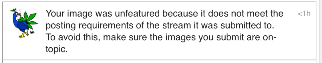 R.I.P. Pot the Weed Peacock. | made w/ Imgflip meme maker