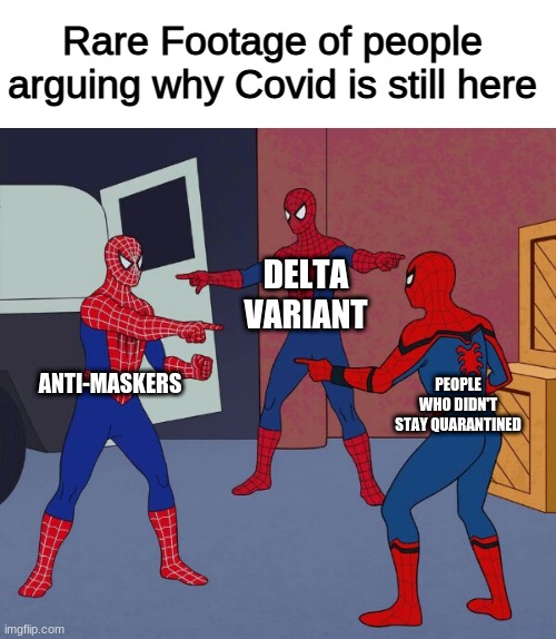 Covid Meme | Rare Footage of people arguing why Covid is still here; DELTA VARIANT; ANTI-MASKERS; PEOPLE WHO DIDN'T STAY QUARANTINED | image tagged in spider man triple | made w/ Imgflip meme maker