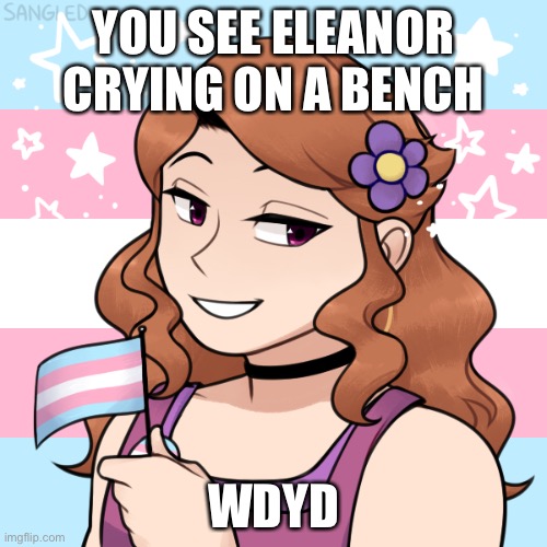 YOU SEE ELEANOR CRYING ON A BENCH; WDYD | made w/ Imgflip meme maker