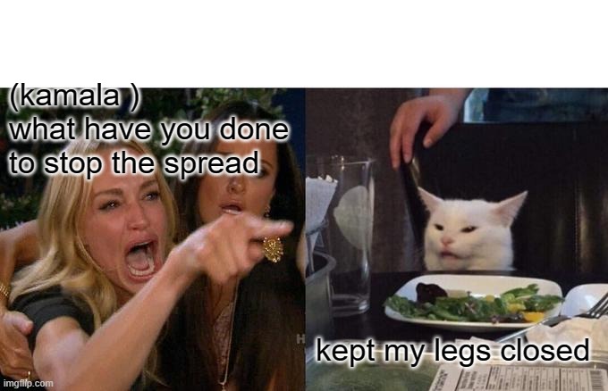 Woman Yelling At Cat Meme | (kamala )
what have you done to stop the spread; kept my legs closed | image tagged in memes,woman yelling at cat | made w/ Imgflip meme maker