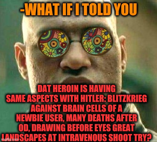 -Dolophine. |  -WHAT IF I TOLD YOU; DAT HEROIN IS HAVING SAME ASPECTS WITH HITLER: BLITZKRIEG AGAINST BRAIN CELLS OF A NEWBIE USER, MANY DEATHS AFTER OD, DRAWING BEFORE EYES GREAT LANDSCAPES AT INTRAVENOUS SHOOT TRY? | image tagged in acid kicks in morpheus,heroin,overdose,blitz,angry hitler,glitchtale | made w/ Imgflip meme maker