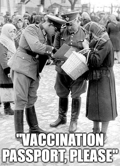 "VACCINATION PASSPORT, PLEASE" | image tagged in vaccination passport,memes,nazis | made w/ Imgflip meme maker