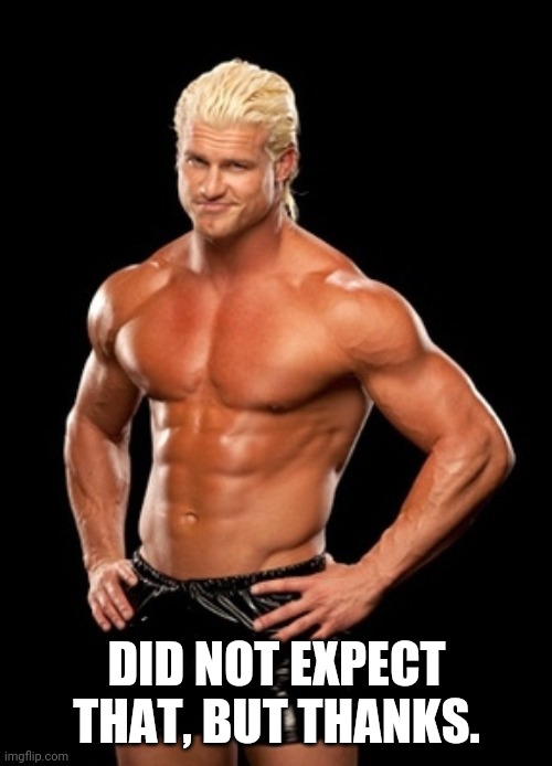 Dolph Ziggler Sells Meme | DID NOT EXPECT THAT, BUT THANKS. | image tagged in memes,dolph ziggler sells | made w/ Imgflip meme maker