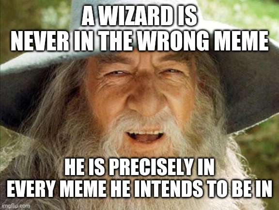 A Wizard Is Never Late | A WIZARD IS NEVER IN THE WRONG MEME; HE IS PRECISELY IN EVERY MEME HE INTENDS TO BE IN | image tagged in a wizard is never late | made w/ Imgflip meme maker