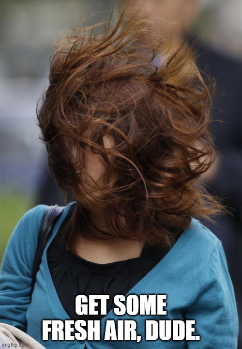 hair wind girl windy | GET SOME FRESH AIR, DUDE. | image tagged in hair wind girl windy | made w/ Imgflip meme maker