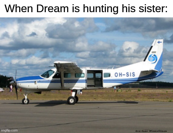 OH-SIS |  When Dream is hunting his sister: | image tagged in dream,aviation,plane,memes,funny,gaming | made w/ Imgflip meme maker
