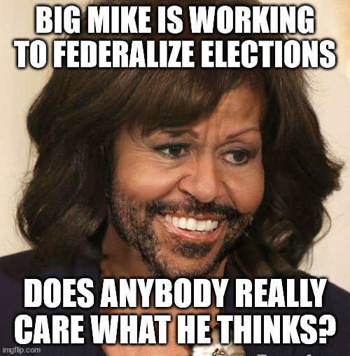Big Mike | BIG MIKE IS WORKING  TO FEDERALIZE ELECTIONS; DOES ANYBODY REALLY CARE WHAT HE THINKS? | image tagged in michelle obama | made w/ Imgflip meme maker