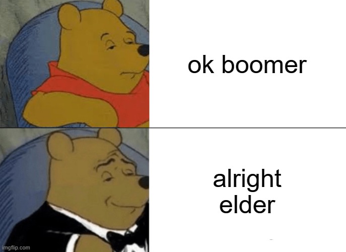 im still saying ok boomer tho | ok boomer; alright elder | image tagged in memes,tuxedo winnie the pooh | made w/ Imgflip meme maker