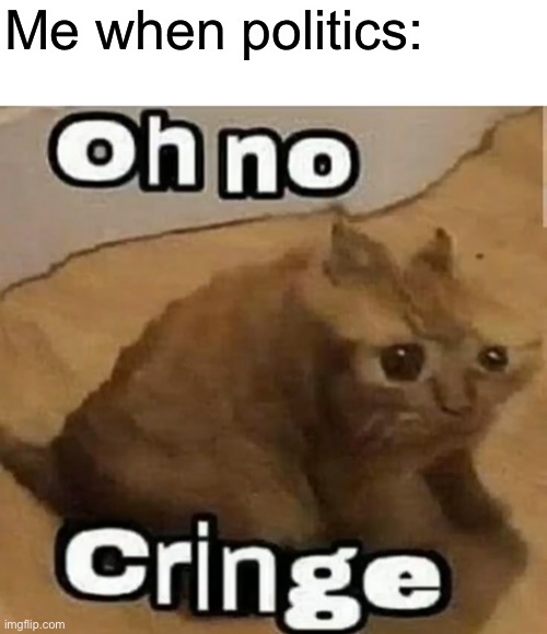 Should I post in politics | Me when politics: | made w/ Imgflip meme maker