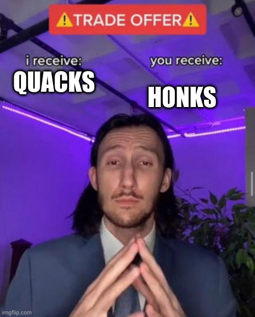 TRADE OFFER | HONKS; QUACKS | image tagged in trade offer | made w/ Imgflip meme maker