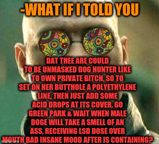 -Silently evils. | DAT THEE ARE COULD TO BE UNMASKED DOG HUNTER LIKE TO OWN PRIVATE BITCH, SO TO SET ON HER BUTTHOLE A POLYETHYLENE LINE, THEN JUST ADD SOME ACID DROPS AT ITS COVER, GO GREEN PARK & WAIT WHEN MALE DOGE WILL TAKE A SMELL OF AN ASS, RECEIVING LSD DOSE OVER MOUTH BAD INSANE MOOD AFTER IS CONTAINING? -WHAT IF I TOLD YOU | image tagged in acid kicks in morpheus,dad joke dog,south park,animals to humans,what if i told you,well now i am not doing it | made w/ Imgflip meme maker