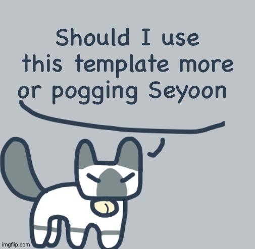 Cat | Should I use this template more or pogging Seyoon | image tagged in cat | made w/ Imgflip meme maker