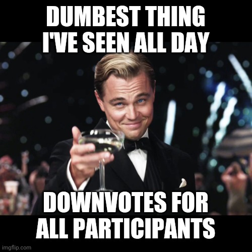 Leonardo DiCaprio Toast | DUMBEST THING I'VE SEEN ALL DAY DOWNVOTES FOR ALL PARTICIPANTS | image tagged in leonardo dicaprio toast | made w/ Imgflip meme maker