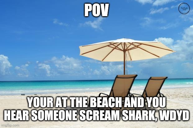 SHARK!!!!! | POV; YOUR AT THE BEACH AND YOU HEAR SOMEONE SCREAM SHARK, WDYD | image tagged in beach | made w/ Imgflip meme maker