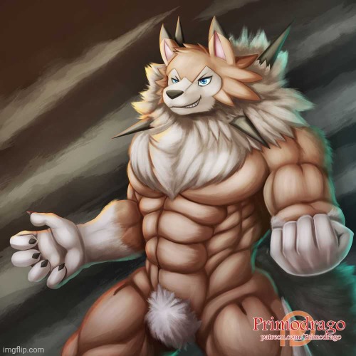 Midday Lycanroc by PrimoDrago | image tagged in bara,buff doge,pokemon,lycanroc,furry,senpai | made w/ Imgflip meme maker