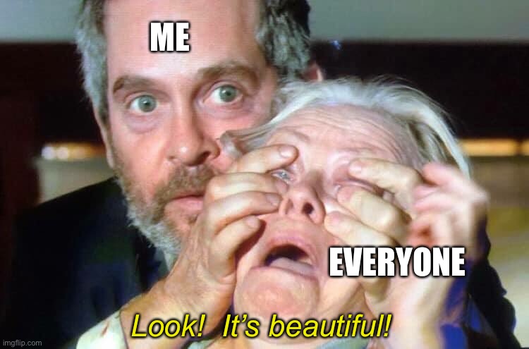 OPEN YOUR EYES | ME EVERYONE Look!  It’s beautiful! | image tagged in open your eyes | made w/ Imgflip meme maker