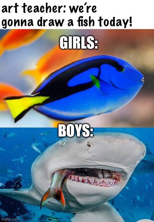 this is mostly true lol | art teacher: we’re gonna draw a fish today! GIRLS:; BOYS: | image tagged in funny,girls vs boys,art,fish,sharks | made w/ Imgflip meme maker