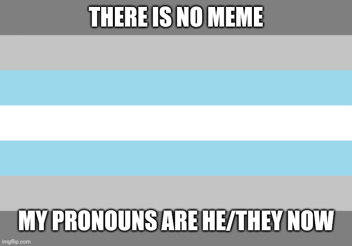 God I hope the community isn't toxic for LGBTQIA+ folks. | THERE IS NO MEME; MY PRONOUNS ARE HE/THEY NOW | image tagged in demiboy,lgbt | made w/ Imgflip meme maker