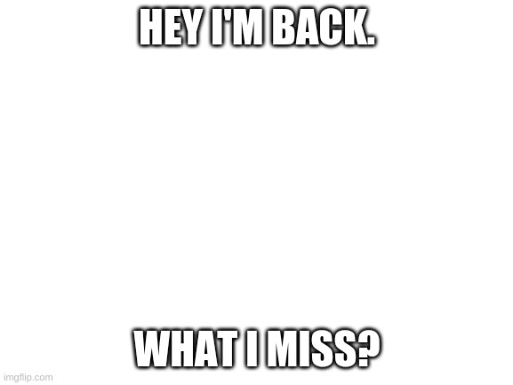 Blank White Template | HEY I'M BACK. WHAT I MISS? | image tagged in blank white template | made w/ Imgflip meme maker
