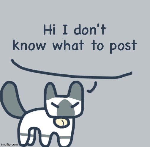 Cat | Hi I don't know what to post | image tagged in cat | made w/ Imgflip meme maker