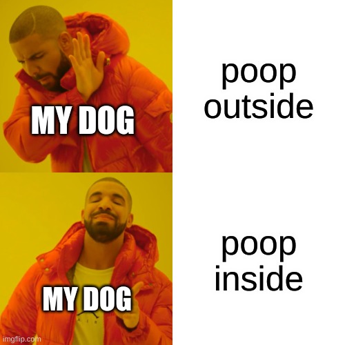 please tell me if i made the same meme as your's | poop outside; MY DOG; poop inside; MY DOG | image tagged in memes,drake hotline bling | made w/ Imgflip meme maker