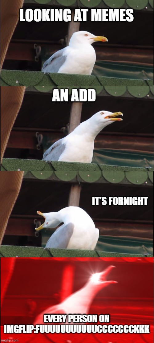 Inhaling Seagull | LOOKING AT MEMES; AN ADD; IT'S FORNIGHT; EVERY PERSON ON IMGFLIP:FUUUUUUUUUUUCCCCCCCKKK | image tagged in memes,inhaling seagull | made w/ Imgflip meme maker