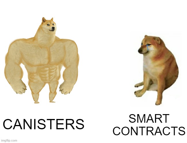 Buff Doge vs. Cheems | SMART CONTRACTS; CANISTERS | image tagged in memes,buff doge vs cheems | made w/ Imgflip meme maker