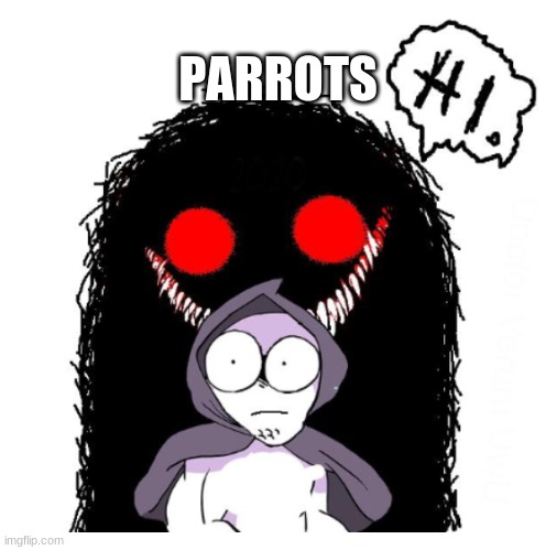 Hi | PARROTS | image tagged in hi | made w/ Imgflip meme maker