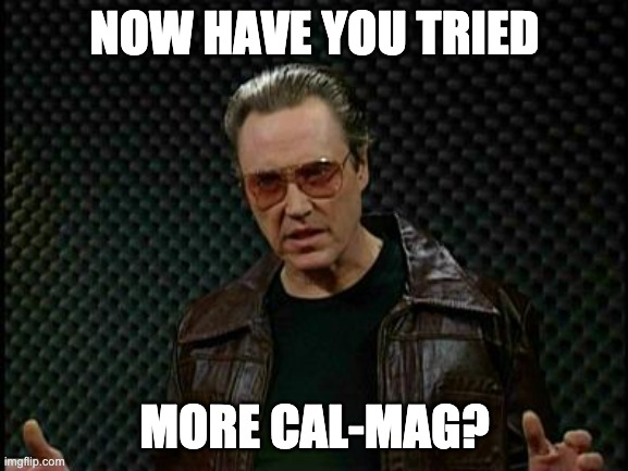 Needs More Cowbell | NOW HAVE YOU TRIED; MORE CAL-MAG? | image tagged in needs more cowbell | made w/ Imgflip meme maker