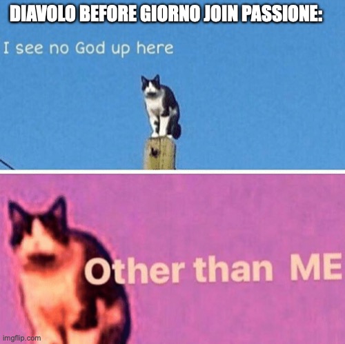 Hail pole cat | DIAVOLO BEFORE GIORNO JOIN PASSIONE: | image tagged in hail pole cat | made w/ Imgflip meme maker
