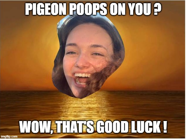 good luck | PIGEON POOPS ON YOU ? WOW, THAT'S GOOD LUCK ! | image tagged in compulsive positivity dupe | made w/ Imgflip meme maker