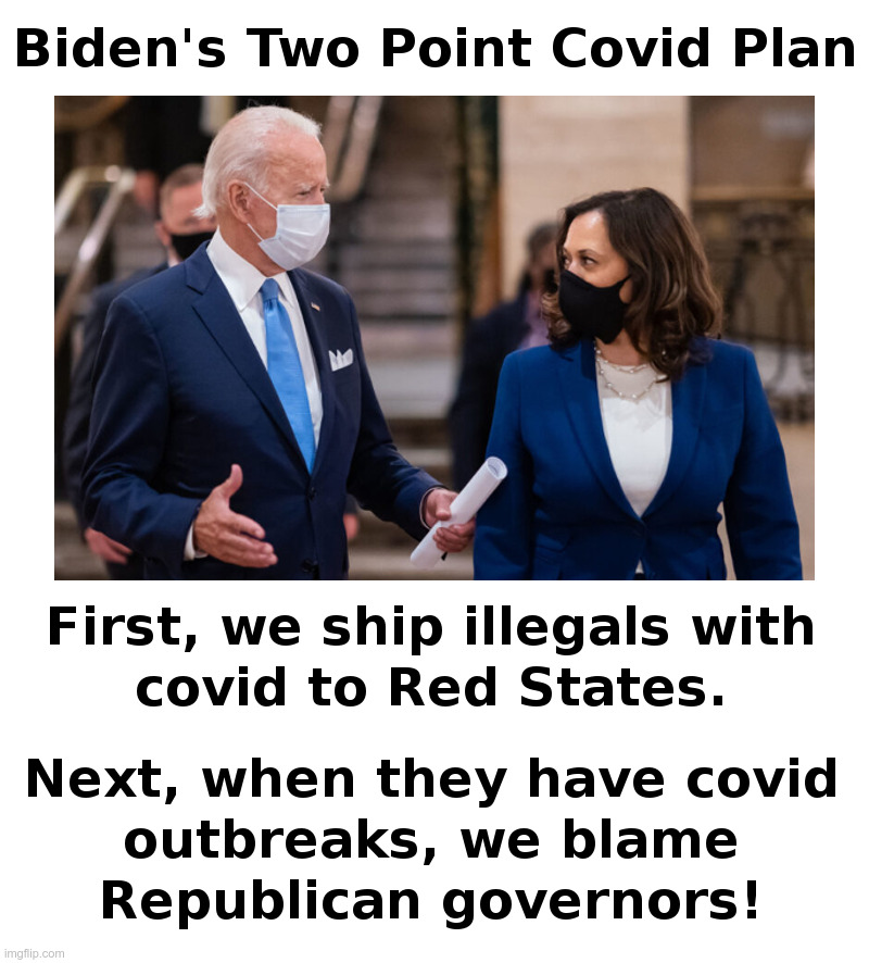 Biden's Two Point Covid Plan | image tagged in joe biden,kamala harris,democrats,illegal immigration,wait this is beyond illegal,covid lockdowns forever | made w/ Imgflip meme maker