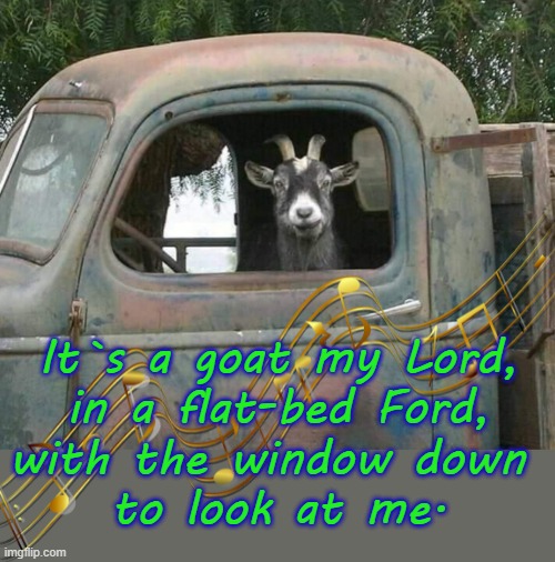 Take it easy ! | It`s a goat my Lord,
in a flat-bed Ford,
with the window down 
to look at me. | image tagged in goat singing | made w/ Imgflip meme maker