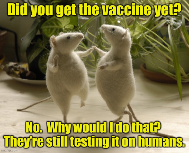 Vaccine | Did you get the vaccine yet? No.  Why would I do that?  They’re still testing it on humans. | image tagged in mice will play | made w/ Imgflip meme maker