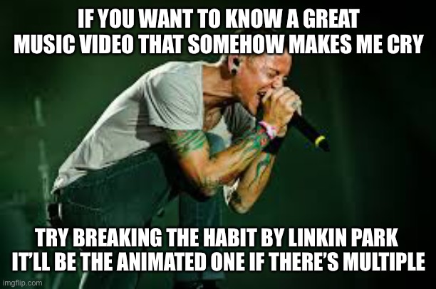 C try I got | IF YOU WANT TO KNOW A GREAT MUSIC VIDEO THAT SOMEHOW MAKES ME CRY; TRY BREAKING THE HABIT BY LINKIN PARK 
IT’LL BE THE ANIMATED ONE IF THERE’S MULTIPLE | image tagged in chester linkin park | made w/ Imgflip meme maker