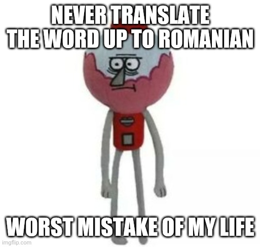 benson marketable plushie | NEVER TRANSLATE THE WORD UP TO ROMANIAN; WORST MISTAKE OF MY LIFE | made w/ Imgflip meme maker