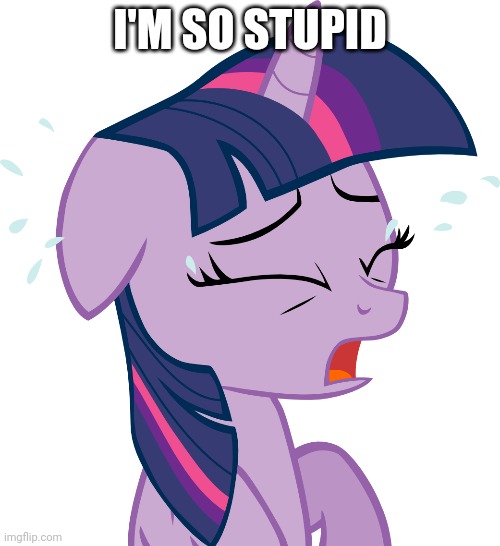 Twilight Sparkle Crying | I'M SO STUPID | image tagged in memes,still a better love story than twilight | made w/ Imgflip meme maker
