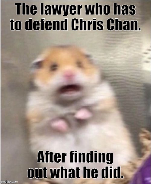Scared Hamster | The lawyer who has to defend Chris Chan. After finding out what he did. | image tagged in scared hamster | made w/ Imgflip meme maker