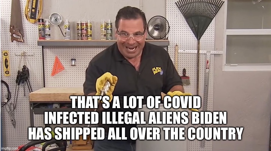 Phil Swift That's A Lotta Damage (Flex Tape/Seal) | THAT’S A LOT OF COVID INFECTED ILLEGAL ALIENS BIDEN HAS SHIPPED ALL OVER THE COUNTRY | image tagged in phil swift that's a lotta damage flex tape/seal | made w/ Imgflip meme maker