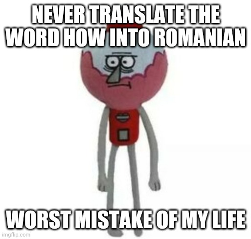 benson marketable plushie | NEVER TRANSLATE THE WORD HOW INTO ROMANIAN; WORST MISTAKE OF MY LIFE | image tagged in benson marketable plushie | made w/ Imgflip meme maker