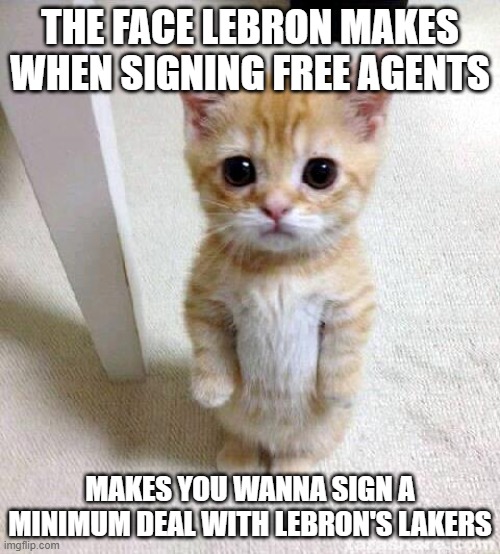 Lebron | THE FACE LEBRON MAKES WHEN SIGNING FREE AGENTS; MAKES YOU WANNA SIGN A MINIMUM DEAL WITH LEBRON'S LAKERS | image tagged in memes,cute cat | made w/ Imgflip meme maker