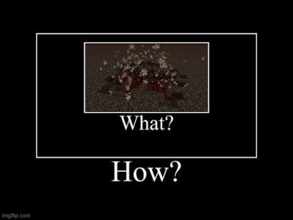 what | image tagged in what | made w/ Imgflip meme maker