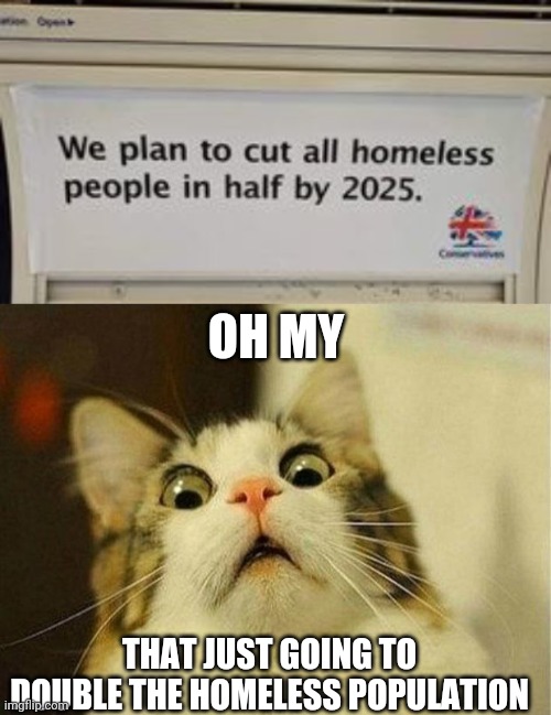 Homeless torsos | OH MY; THAT JUST GOING TO DOUBLE THE HOMELESS POPULATION | image tagged in memes,scared cat | made w/ Imgflip meme maker