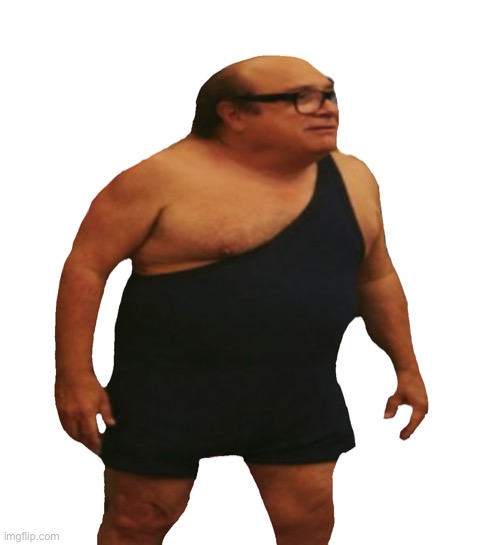 Danny de Vito | image tagged in danny de vito | made w/ Imgflip meme maker