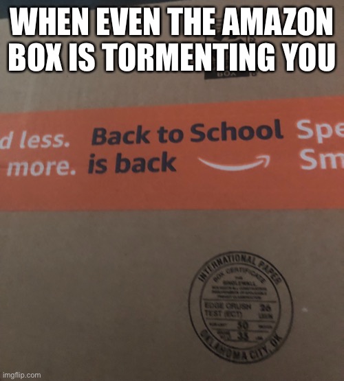 Kak | WHEN EVEN THE AMAZON BOX IS TORMENTING YOU | made w/ Imgflip meme maker