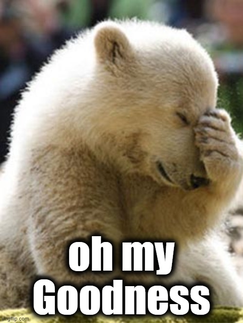 Facepalm Bear Meme | oh my Goodness | image tagged in memes,facepalm bear | made w/ Imgflip meme maker