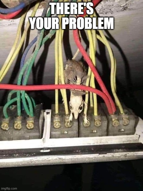 lesson here is don't let mice try to fix your wiring | THERE'S YOUR PROBLEM | image tagged in fun,mouse | made w/ Imgflip meme maker
