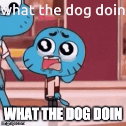 what the dog doin - Imgflip