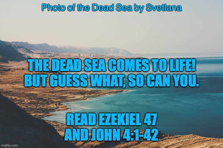 Living Water | Photo of the Dead Sea by Svetlana; THE DEAD SEA COMES TO LIFE!
BUT GUESS WHAT, SO CAN YOU. READ EZEKIEL 47
AND JOHN 4:1-42 | image tagged in the savior of the world | made w/ Imgflip meme maker